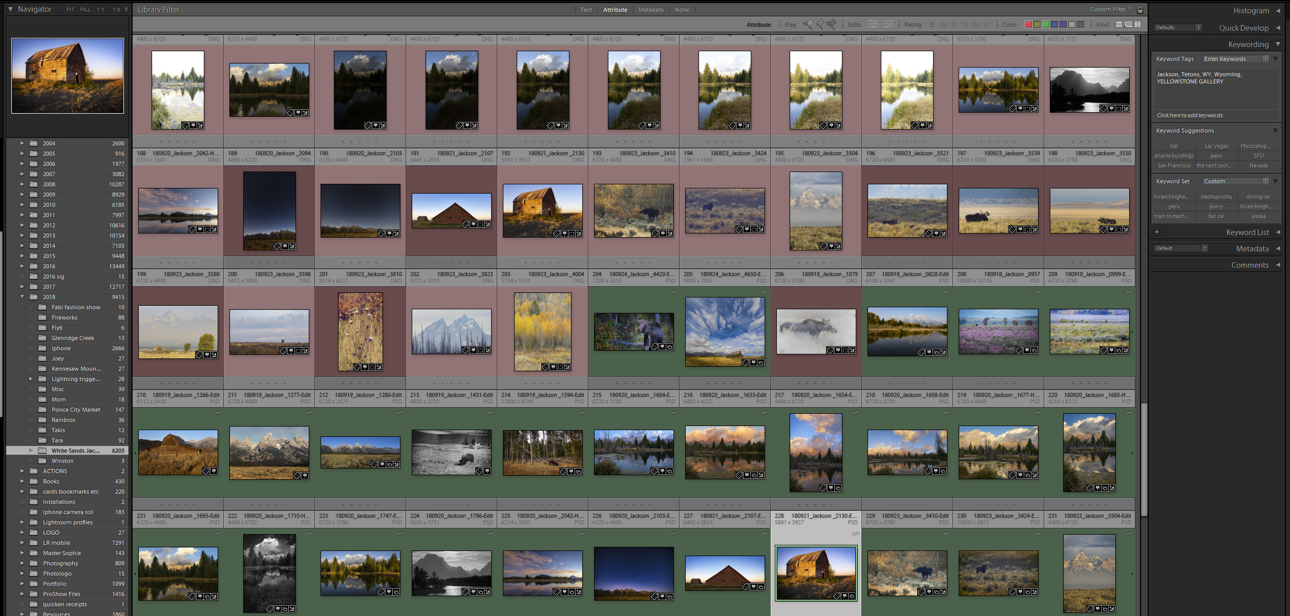 lightroom not sorting.png